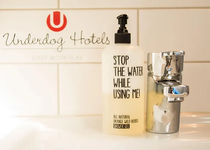Hotel Underdog 3*